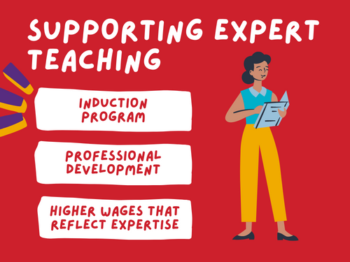 Supporting Expert Teaching